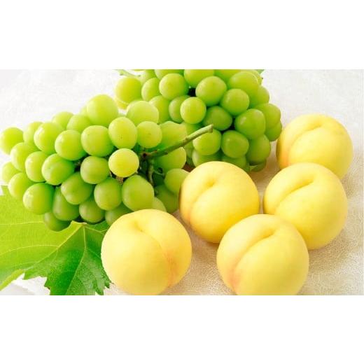 ふるさと納税 もも 岡山県 倉敷市 桃 ぶどう 岡山白桃5玉とシャインマスカット2房 詰合せ 合計2.7kg以上 もも モモ 白桃 ブドウ 葡萄 フルーツ 果物 果実 詰め…