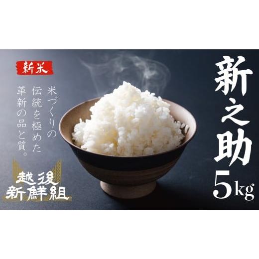 ふるさと納税 米 新潟県 新発田市 11月発送 新之助 5kg 令和7年産 しんのすけ 新潟 米 白米 精米 ご飯 おにぎり 弁当 新潟県産 新発田産 お米 新潟米 こめ 越…