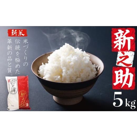 ふるさと納税 米 新潟県 新発田市 12月発送 新之助 5kg 令和7年産 しんのすけ 新潟 米 白米 精米 ご飯 おにぎり 弁当 新潟県産 新発田産 お米 新潟米 こめ 越…