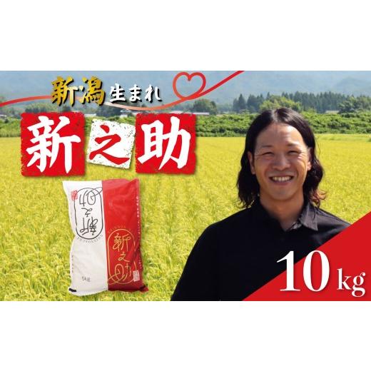 ふるさと納税 米 新潟県 新発田市 新潟の誠 新之助 10kg 令和7年産 しんのすけ 新潟 米 白米 精米 ブランド ご飯 おにぎり 弁当 新潟県産 新発田産 お米 こめ…