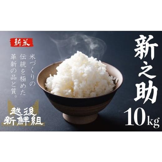 ふるさと納税 米 新潟県 新発田市 11月発送 新潟ブランド米 新之助 10kg 令和7年産 しんのすけ 新潟 米 白米 精米 ご飯 おにぎり 弁当 新潟県産 新発田産 お…