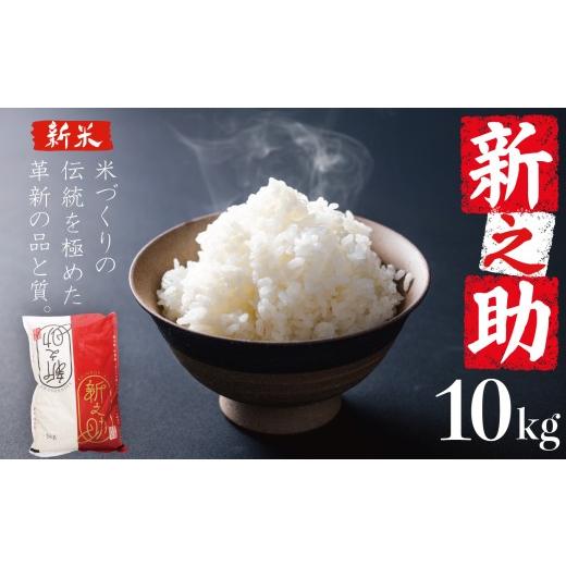 ふるさと納税 米 新潟県 新発田市 12月発送 新潟ブランド米 新之助 10kg 令和7年産 しんのすけ 新潟 米 白米 精米 ご飯 おにぎり 弁当 新潟県産 新発田産 お…
