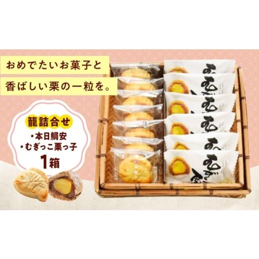 ふるさと納税 アウトドアグッズ 広島県 福山市 お菓子 籠詰合せ_むぎっこ栗っ子・本日鯛安 おやつ 菓子 お茶 スイーツ 広島県福山市/有限会社勉強堂 BAFL037…