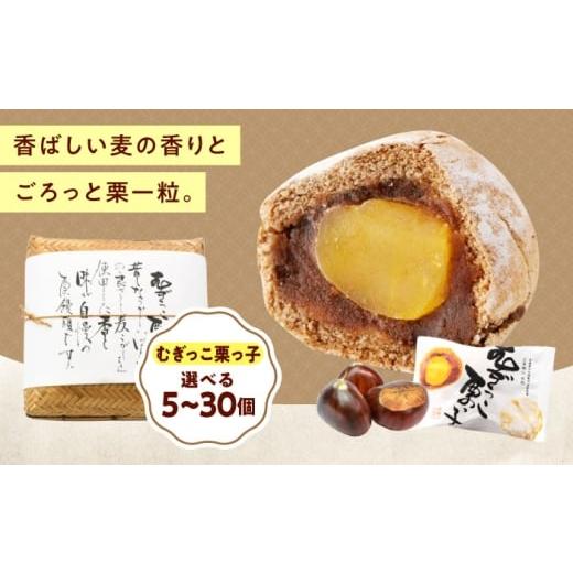 ふるさと納税 饅頭・羊羹・大福 広島県 福山市 お菓子 むぎっこ栗っ子(5入箱) おやつ 菓子 お茶 スイーツ 広島県福山市/有限会社勉強堂 BAFL030 5入箱