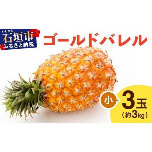 ふるさと納税 果物類 沖縄県 石垣市 5月上旬順次発送 ゴールドバレル 小 3玉(約3kg) TP-15 ゴールドバレル 小 3玉(約3kg)