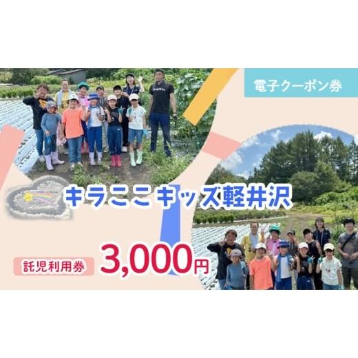 ふるさと納税 体験チケット 長野県 軽井沢町 電子クーポン券 キラここキッズ軽井沢 託児利用券 3,000円 有効期限:発行から1年間以内 託児 保育 育児 軽井沢 …