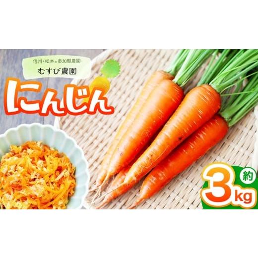 ふるさと納税 野菜類 人参 長野県 松本市 信州・むすび農園の人参 約3kg | 農薬不使用 化学肥料不使用 植物性肥料 無農薬 旬の野菜 野菜 やさい 人参 にんじん…