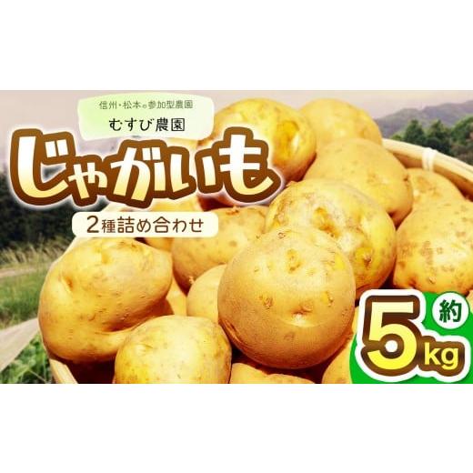 ふるさと納税 野菜類 じゃがいも 長野県 松本市 信州・むすび農園のじゃがいも2種詰め合わせ 約5kg | 農薬不使用 化学肥料不使用 植物性肥料 無農薬 旬の野菜 …