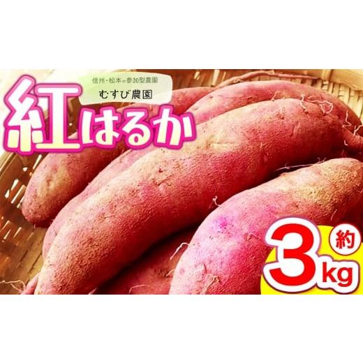 ふるさと納税 野菜類 サツマイモ 長野県 松本市 信州・むすび農園のさつまいも(紅はるか)約3kg | 農薬不使用 化学肥料不使用 植物性肥料 無農薬 旬の野菜 野…