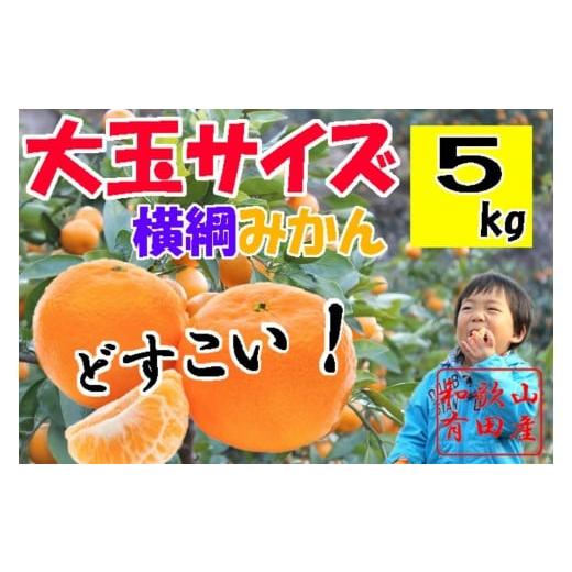ふるさと納税 果物類 みかん 和歌山県 有田川町 大玉有田みかん 5kg 2L・3Lサイズ