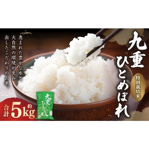 ふるさと納税 米 ひとめぼれ 大分県 九重町 九重 ひとめぼれ 5kg 2025年11月上旬発送開始予定 米 こめ コメ お米 精米 ご飯 ごはん 常温 国産