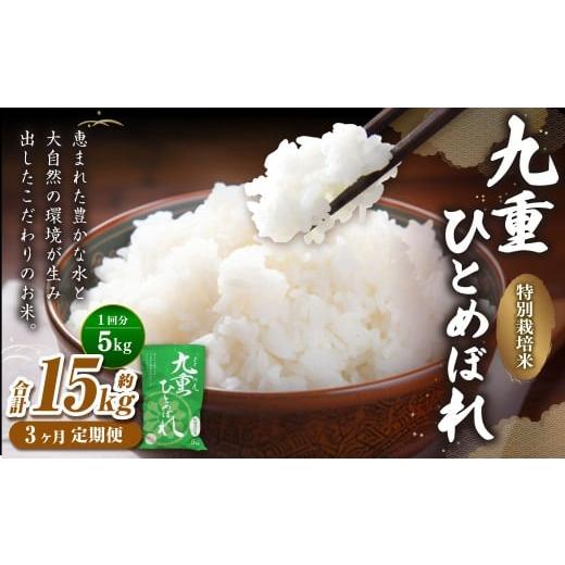 ふるさと納税 米 ひとめぼれ 大分県 九重町 3ヵ月定期便 九重 ひとめぼれ 5kg×3回 計15kg 米 こめ コメ お米 精米 ご飯 ごはん 常温 国産