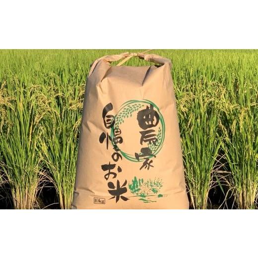ふるさと納税 米 岐阜県 大垣市 玄米＼11月より順次お届け/令和7年産 新米 10kg 玄米 単一原料米 れんげ ハツシモ 岐阜美濃の誇り れんげ育ちのハツシモ 米 …