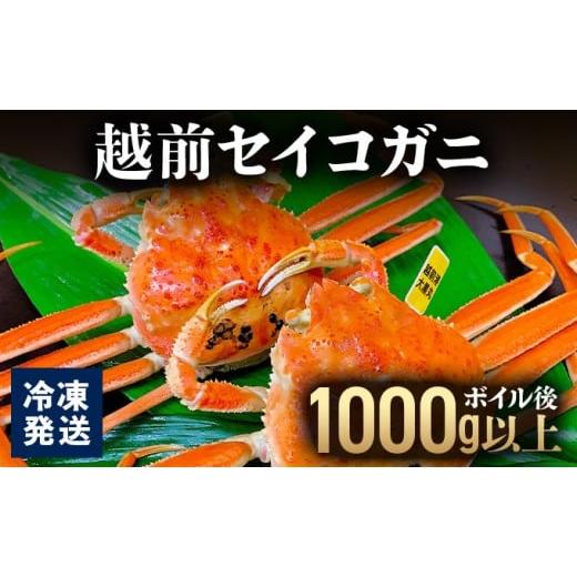 ふるさと納税 カニ ずわいガニ 福井県 敦賀市 越前セイコガニ ボイル後1,000g以上 (ボイル前1,150g前後) 冷凍 お届け時期:11月10日以降順次発送 マイマルシ…