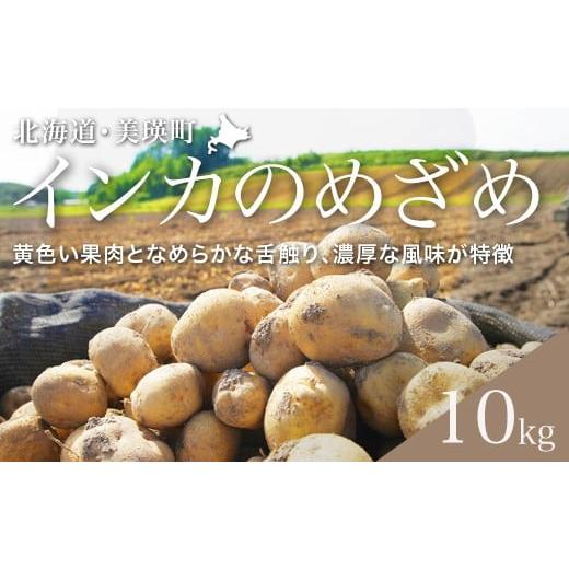 ふるさと納税 野菜類 じゃがいも 北海道 美瑛町 先行予約 じゃがいも (インカのめざめ)10kg &lt;令和8年産 &gt;黒木農場 | 人気 おすすめ ランキング いも …