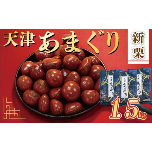 ふるさと納税 和菓子 京都府 八幡市 新栗 天津 甘栗 10000円 選べる 容量 1.5kg 京都 栗 くり 殻付き お菓子 おつまみ 甘露煮 マロン モンブラン 秋 旬 栗ご飯…