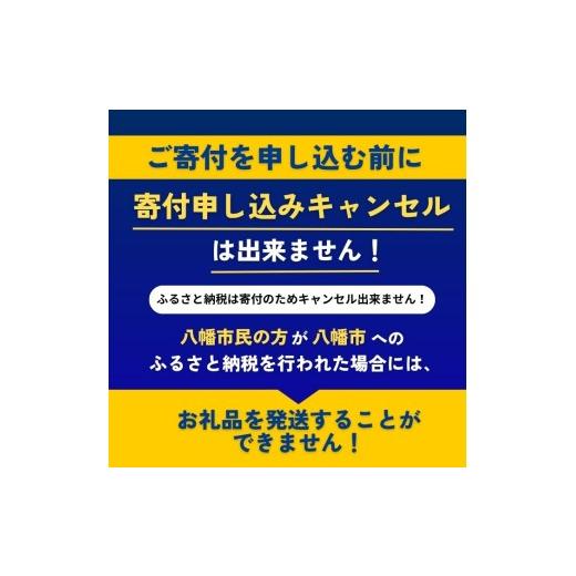 ふるさと納税 和装 京都府 八幡市 2〜4歳向け 子供用 浴衣 ミント 100cm ファッション キッズ こども 子ども 子供 お祭り おまつり 子供服 男の子 女の子 小学…の画像