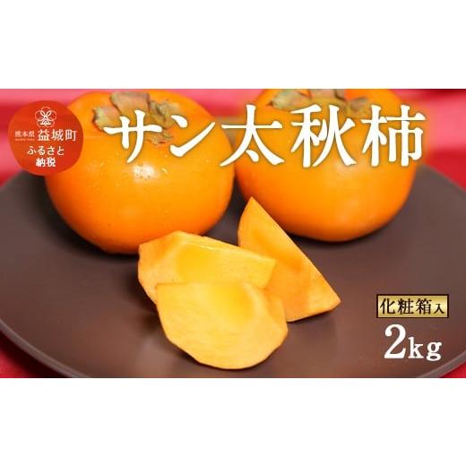 ふるさと納税 果物類 柿 熊本県 益城町 サン太秋 化粧箱 大玉 5〜6玉 約2kg 2025年10月下旬〜12月上旬発送予定