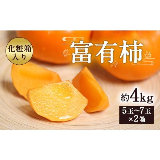 ふるさと納税 果物類 柿 熊本県 益城町 富有柿 合計約4kg 1箱5〜7玉×2箱 化粧箱 付き 柿 太秋柿 2025年11月上旬〜12月下旬発送予定