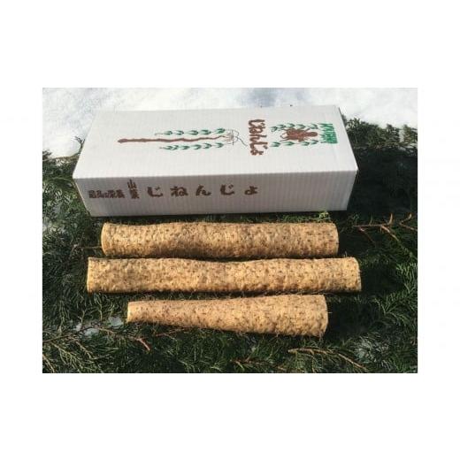 ふるさと納税 人参・大根・他根菜 栃木県 大田原市 大田原産 自然薯(カット品)600g[常温発送]