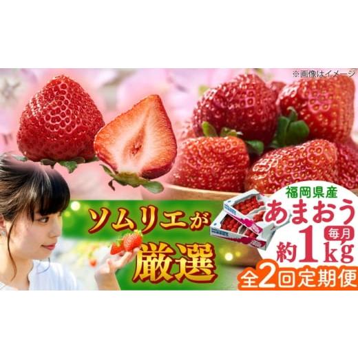 ふるさと納税 いちご 福岡県 吉富町 全2回定期便 福岡産 春 あまおう 4パック 吉富町/南国フルーツ株式会社