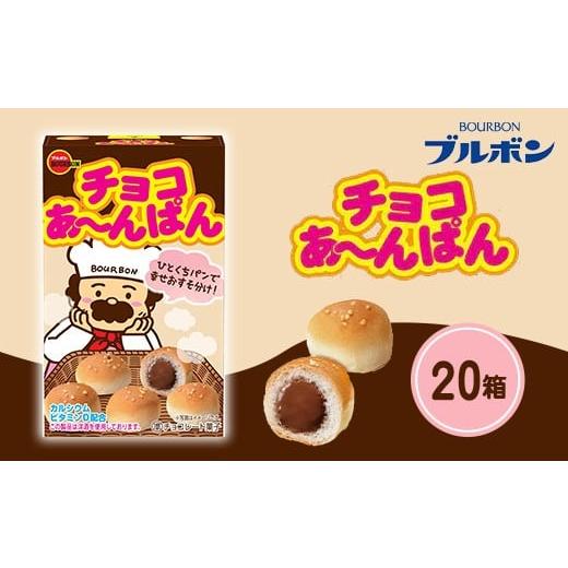 ふるさと納税 菓子 チョコレート 新潟県 長岡市 L0-06チョコあ〜んぱん×20箱