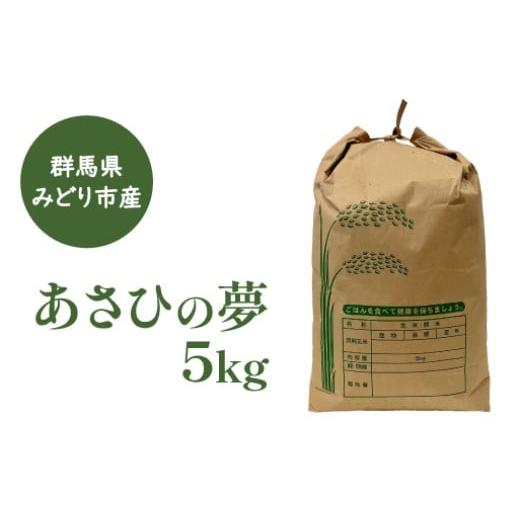 ふるさと納税 米 群馬県 みどり市 a169 群馬県みどり市産 あさひの夢(精米)