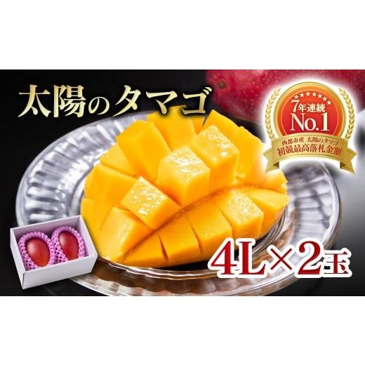 ふるさと納税 マンゴー 宮崎県 西都市 5月発送 最高級ブランド『太陽のタマゴ』4Lサイズ2個入り 糖度15度以上 宮崎県西都市産完熟マンゴー 5-16 宮崎完熟マン…