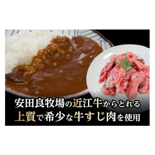 ふるさと納税 加工品等 レトルト 滋賀県 草津市 近江牛すじカレー 200g×3食