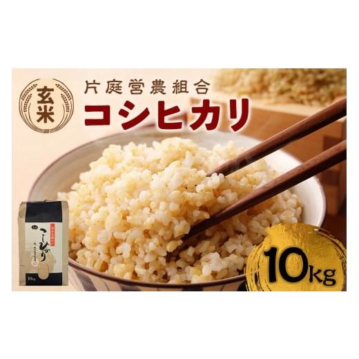ふるさと納税 玄米 茨城県 笠間市 令和7年産 コシヒカリ 玄米 10kg こしひかり お米 こめ 国産 ごはん ご飯 げんまい コメ 取り寄せ お弁当 弁当 おにぎり 茨…
