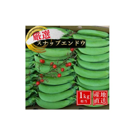 ふるさと納税 野菜類 鹿児島県 西之表市 ＼ 先行予約/ 厳選 こだわり の スナップエンドウ 1kg 相当 種子島産 産地直送 旬 NFN551 300pt 種子島 産 産地直送…