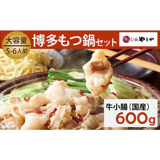 ふるさと納税 モツ鍋 福岡県 太宰府市 もつ鍋セット 牛もつたっぷり600g 大容量5-6人前(あごだし醤油味) 博多もつ鍋やまや 2025年12月発送 2025年12月発送