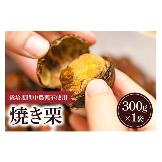 ふるさと納税 果物類 栗 茨城県 石岡市 冷凍 焼き栗 1袋 (果じゅまる園)栗 くり クリ M L サイズ 焼栗 農薬不使用 殺虫剤不使用 国産 和栗 甘栗 果物 フルー…
