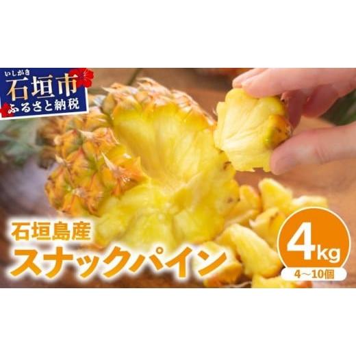 ふるさと納税 果物類 沖縄県 石垣市 2026年4月中旬発送 訳あり 石垣島産 スナックパイン 約4kg(4〜10個)KP-01 | ふるさと納税 パイナップル 産地直送 フル…