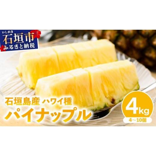 ふるさと納税 果物類 沖縄県 石垣市 2026年4月中旬発送 訳あり 石垣島産 ハワイ種パイナップル 約4kg(4〜10個)KP-02 | ふるさと納税 パイナップル 産地直送…