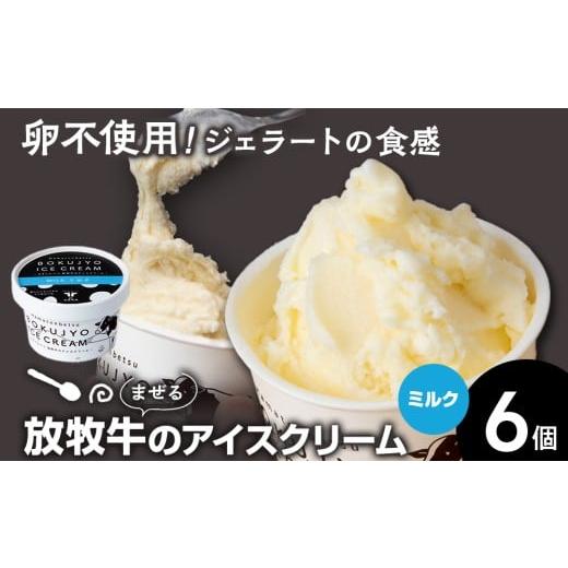 ふるさと納税 菓子 アイス 北海道 浜頓別町 放牧牛 アイスクリーム 6個(ミルク) 池田牧場