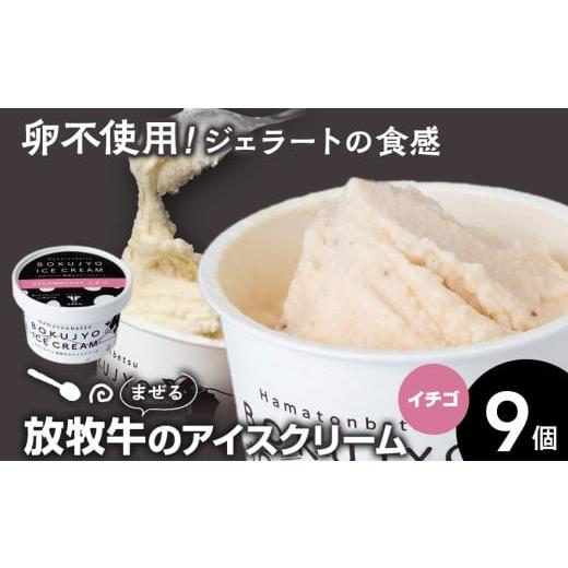 ふるさと納税 菓子 アイス 北海道 浜頓別町 放牧牛 アイスクリーム イチゴ 9個 池田牧場