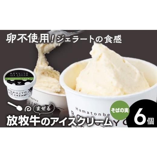 ふるさと納税 菓子 アイス 北海道 浜頓別町 放牧牛 アイスクリーム 6個(そばの実) 池田牧場