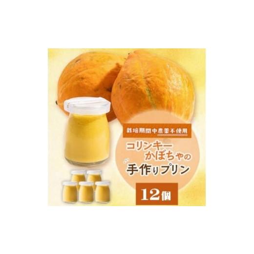 ふるさと納税 菓子 プリン 京都府 与謝野町 栽培期間中、農薬を使わず自家栽培した「コリンキーかぼちゃ」使用の手作りプリン 12個 1670918