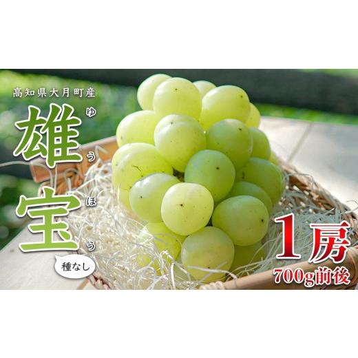 ふるさと納税 ぶどう 高知県 大月町 2026年8・9月発送 大粒 ぶどう 種なし 雄宝 1房 (700g) 高級 ブドウ 葡萄 グレープ 数量限定 期間限定 先行予約 冷蔵 果…