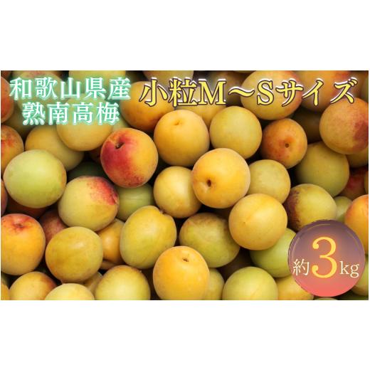 ふるさと納税 果物類 和歌山県 かつらぎ町 梅干・梅酒用 紀州和歌山県産 熟南高梅 生うめ 優品 約3kg (S、Mサイズおまかせ)+3%増量 2026年6月下旬〜7月上旬…