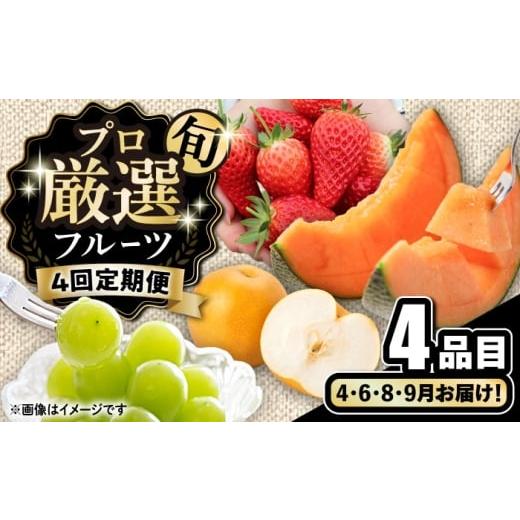 ふるさと納税 いちご 長崎県 南島原市 4回定期便 プロ厳選 旬のフルーツ定期便 / 果物 フルーツ 果物定期便 フルーツ定期便 / 南島原市 / 愛2農園