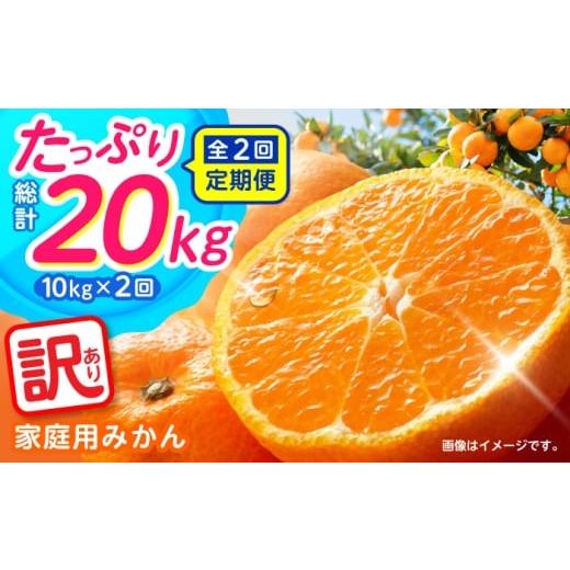 ふるさと納税 果物類 みかん 長崎県 南島原市 2回定期便 家庭用 みかん 約10kg(計約20kg) / ミカン 蜜柑 果物 フルーツ / 南島原市 / はじめ農園 SGK004…