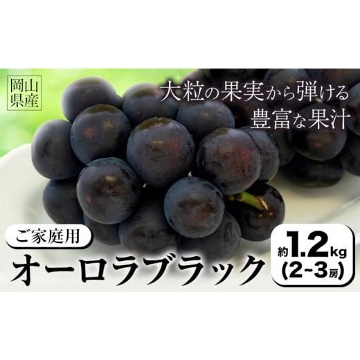 ふるさと納税 ぶどう 岡山県 矢掛町 2026年発送先行予約 ご家庭用 岡山県産 オーロラブラック 1.2kg 2-3房 晴れの国おかやま館 [2026年9月上旬-9月下旬頃出…