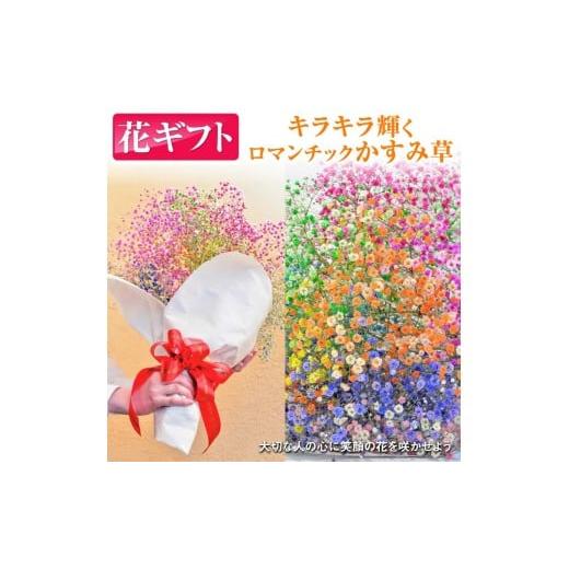ふるさと納税 花・苗木 花束 栃木県 鹿沼市 ふわふわブーケ | 生花 花 ギフト ロマンチックかすみ草 七色 輝く カスミソウ カスミ草 かすみそう お祝い プレ…
