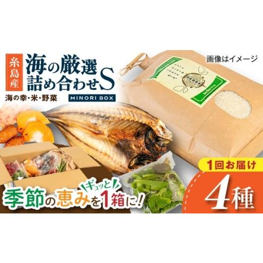 ふるさと納税 米 福岡県 糸島市 糸島産 魚 米 野菜 果物 厳選詰め合わせ MINORI BOX Sサイズ 糸島市 / emma.Inc / 米 魚 野菜 詰め合わせ