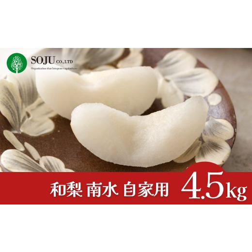 ふるさと納税 梨 新潟県 三条市 和梨 南水 自家用 約4.5kg 令和7年度 樹上完熟日本梨 新潟県 三条市産 三条果樹専門家集団