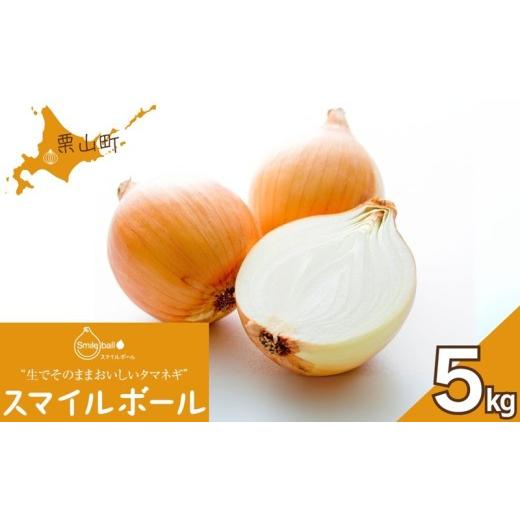 ふるさと納税 野菜類 玉ねぎ 北海道 栗山町 生でそのままおいしいタマネギ「スマイルボール」5kg E061の画像