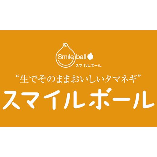 ふるさと納税 野菜類 玉ねぎ 北海道 栗山町 生でそのままおいしいタマネギ「スマイルボール」5kg E061の画像