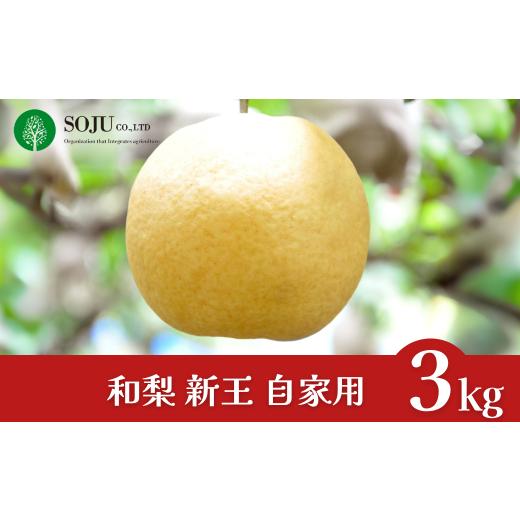 ふるさと納税 梨 新潟県 三条市 新潟オリジナル和梨 新王 自家用 約3kg 令和7年度 新潟県 三条市産 三条果樹専門家集団